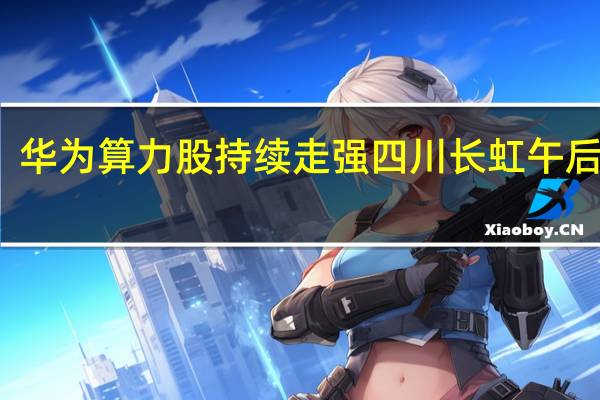 华为算力股持续走强 四川长虹午后涨停
