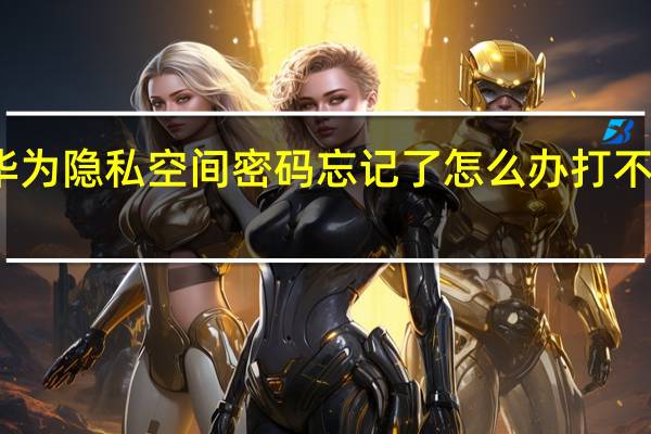 华为隐私空间密码忘记了怎么办打不开手机（华为隐私空间）