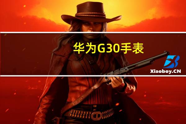 华为G30手表（华为g302d）