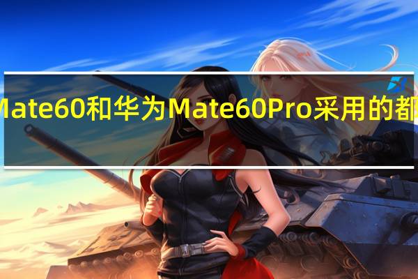 华为Mate60和华为Mate60Pro采用的都是玄武架构