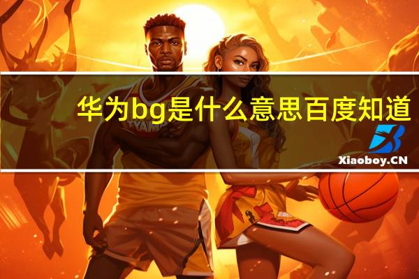 华为bg是什么意思百度知道(华为bg是什么意思)