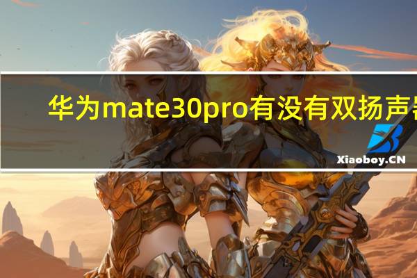 华为mate30pro有没有双扬声器（华为mate30是不是双扬声器）