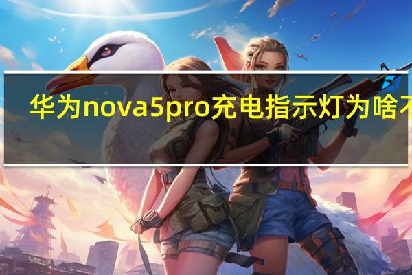 华为nova5pro充电指示灯为啥不亮（华为Nova5Pro有没有消息指示灯）