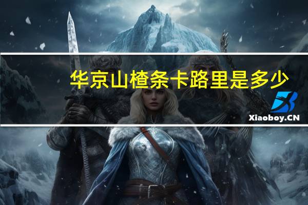 华京 山楂条卡路里是多少