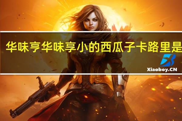 华味亨 华味享 小的西瓜子卡路里是多少