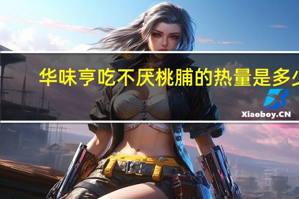 华味亨 吃不厌桃脯的热量是多少