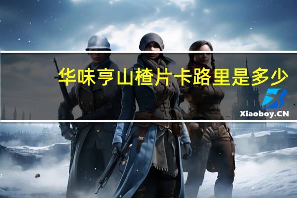 华味亨 山楂片卡路里是多少