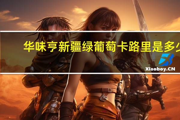 华味亨 新疆绿葡萄卡路里是多少