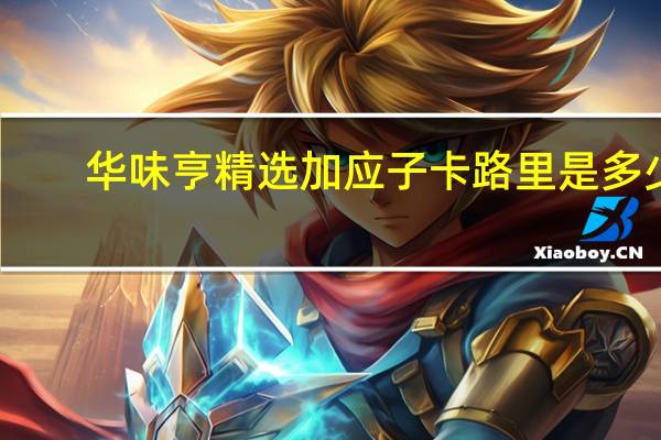 华味亨 精选加应子卡路里是多少