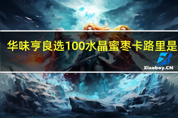 华味亨 良选100水晶蜜枣卡路里是多少