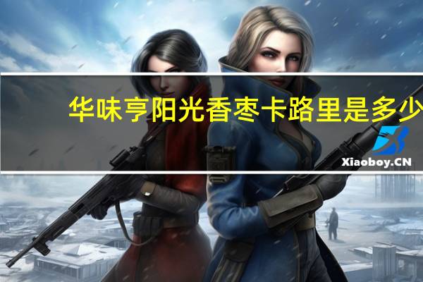 华味亨 阳光香枣卡路里是多少