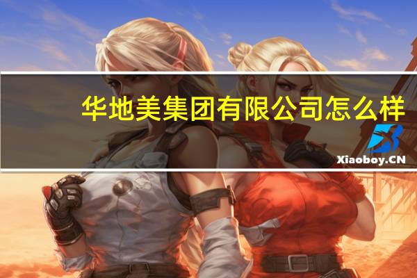 华地美集团有限公司怎么样