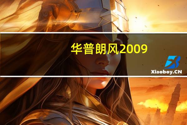 华普朗风2009（华普朗风）