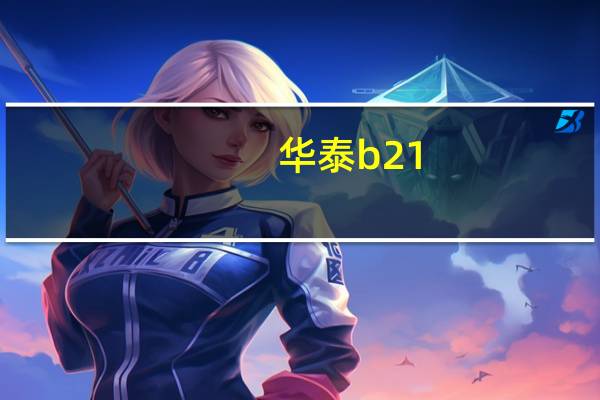 华泰b21（华泰B21简介）