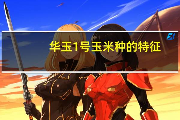 华玉1号玉米种的特征