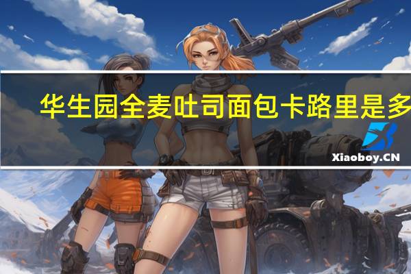 华生园 全麦吐司面包卡路里是多少