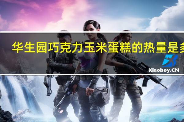 华生园 巧克力玉米蛋糕的热量是多少