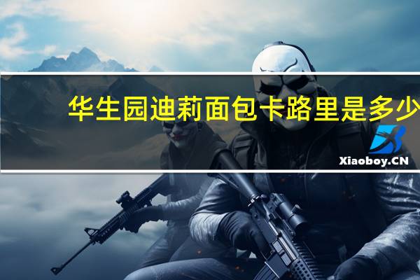 华生园 迪莉面包卡路里是多少