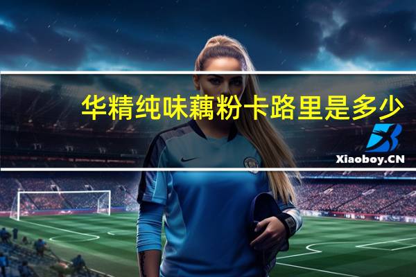 华精 纯味藕粉卡路里是多少