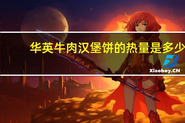 华英 牛肉汉堡饼的热量是多少