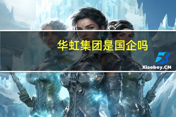 华虹集团是国企吗