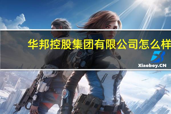 华邦控股集团有限公司怎么样
