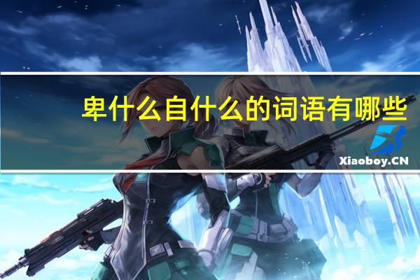 卑什么自什么的词语有哪些?
