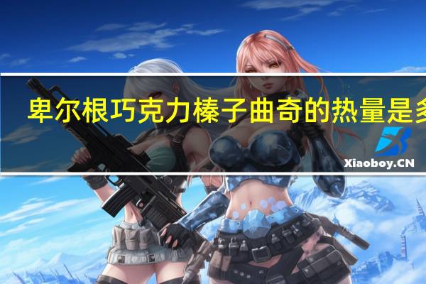 卑尔根 巧克力榛子曲奇的热量是多少
