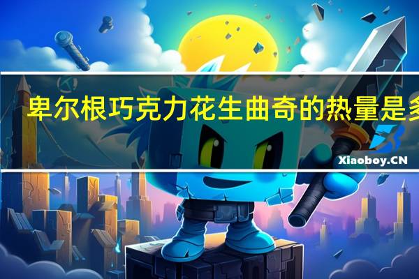 卑尔根 巧克力花生曲奇的热量是多少