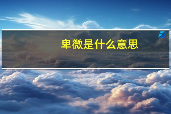 卑微是什么意思