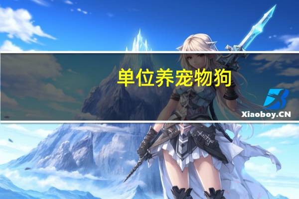 单位养宠物狗