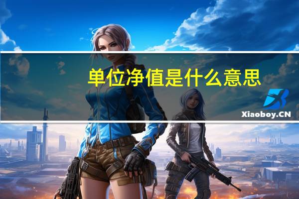 单位净值是什么意思（净值是什么意思）