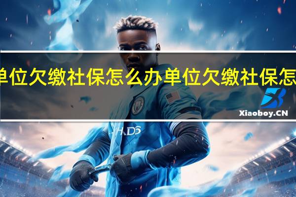 单位欠缴社保怎么办 单位欠缴社保怎么维权