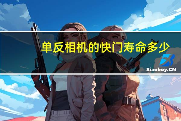 单反相机的快门寿命多少