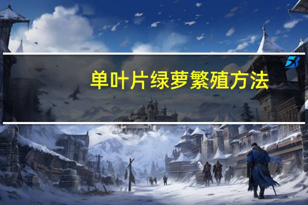 单叶片绿萝繁殖方法