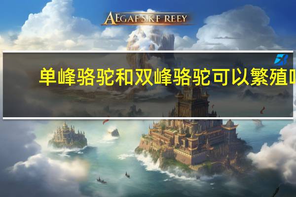单峰骆驼和双峰骆驼可以繁殖吗（单峰骆驼）