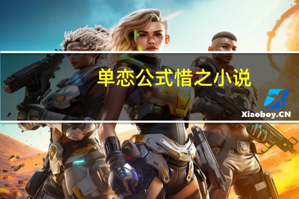 单恋公式 惜之 小说（单恋公式）