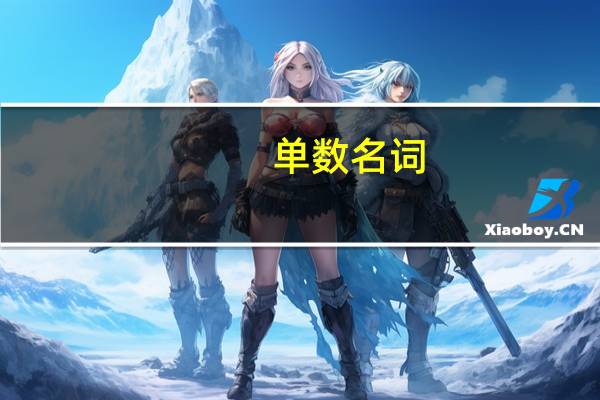 单数名词