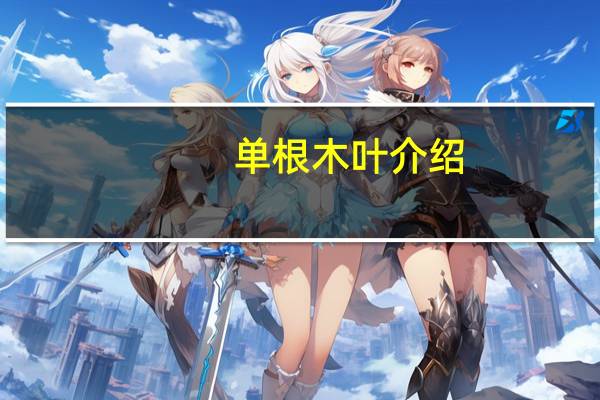 单根木叶介绍