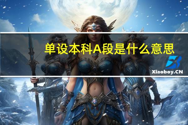 单设本科A段是什么意思