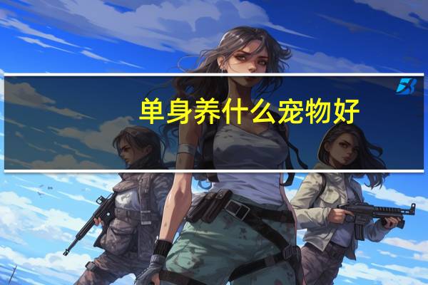 单身养什么宠物好