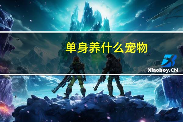 单身养什么宠物