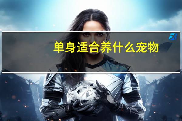 单身适合养什么宠物
