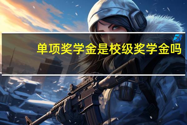 单项奖学金是校级奖学金吗