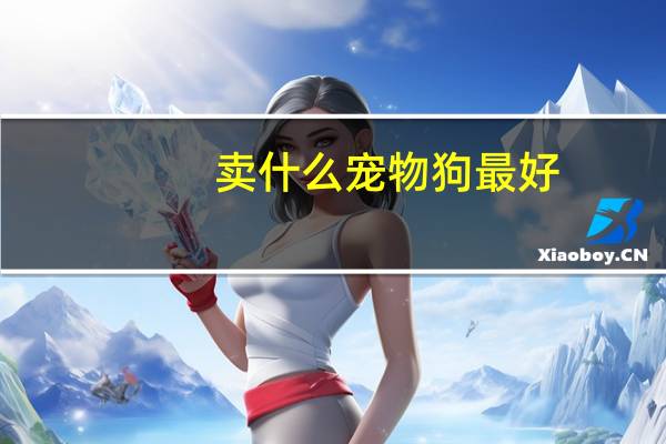 卖什么宠物狗最好