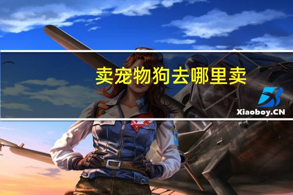 卖宠物狗去哪里卖