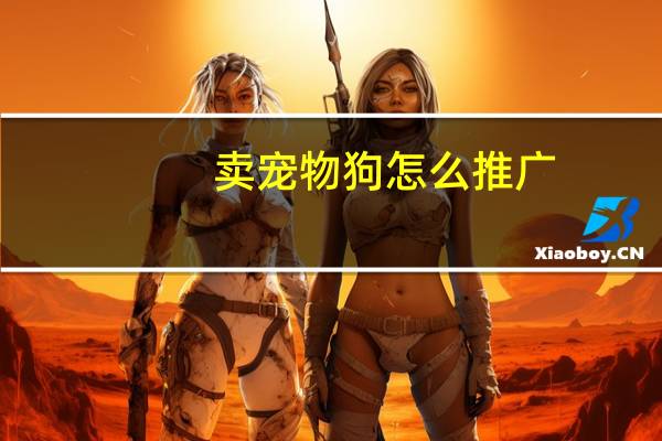 卖宠物狗怎么推广