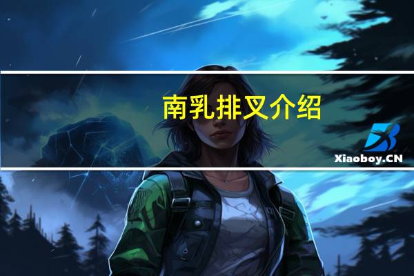 南乳排叉介绍