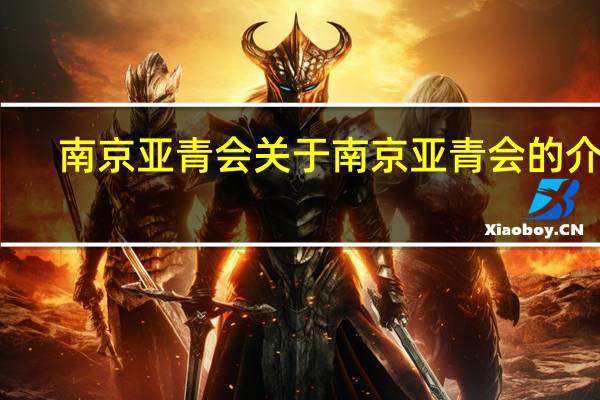 南京亚青会 关于南京亚青会的介绍