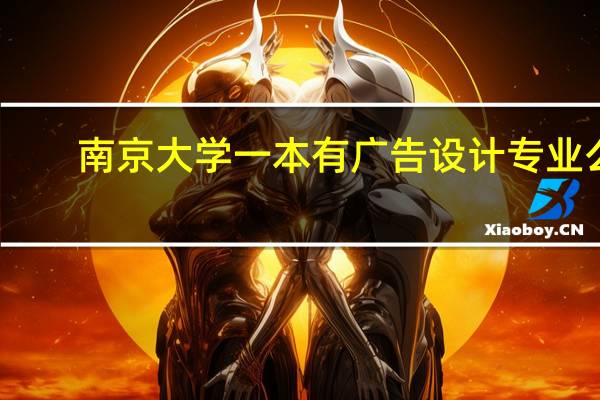 南京大学一本有广告设计专业么